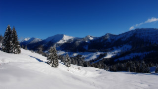 Snowy mountain trees blue sky 9 - edi rama free wallpaper