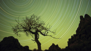 Tree startrail rockformation foreground silhouette - a rock formation in the foreground free wallpaper