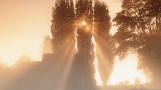 Foggy morning sunshine ecological art - volumetric light free wallpaper