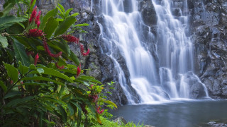 Waterfall flowers river nature mountains - the middle of the picture free wallpaper for desktop