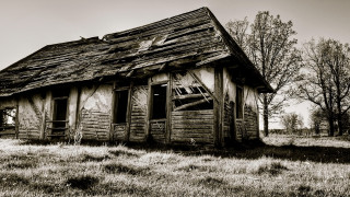Decay brokenbuilding forest barebranch shrine - a broken window free wallpaper