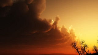Sunset clouds trees horizon autumn - the sky and trees free wallpaper