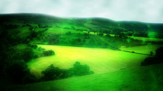 Green landscape hill trees field - a green landscape free wallpaper