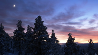 Sunset moon trees clouds beach - a few cloud free wallpaper for desktop