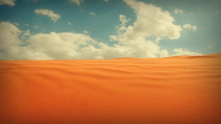 Desert lone tree orange sky - a lone tree in the foreground free wallpaper