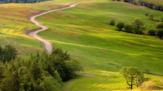 Winding road green field trees 4 - road free wallpaper for desktop