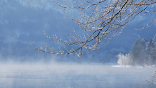 Snowy branch lake mountains fog - the air free wallpaper