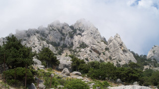 Mountain rocks trees fence bush - cagnaccio di san pietro free wallpaper