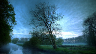 Tree river dusk blue sky 2 - the middle of a river free wallpaper