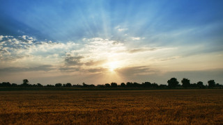 Sunlit clouds over grassy field - crepuscular free wallpaper