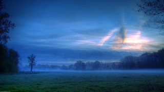 Foggy field clouds trees misty - mist free wallpaper for desktop