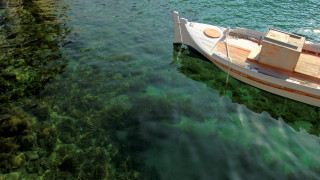 Boat water shore algae ecological - a shore line free wallpaper for desktop