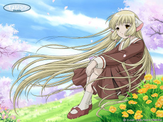 Girl long hair flower field 2 - a hill free wallpaper