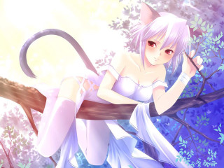 White dress woman cat tail - a cat tail free wallpaper