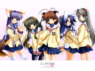 Anime girls cat ears school - a detailed drawing free wallpaper