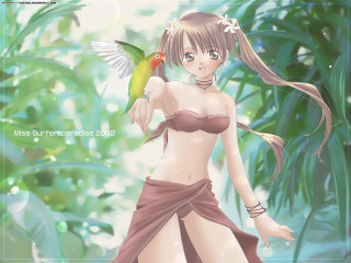 Jungle anime bikini bird parrot - her shoulder and a bird free wallpaper