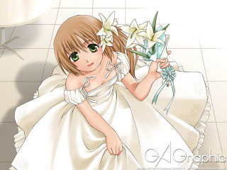 Romantic wedding girl bouquet bathroom - her other hand free wallpaper for desktop