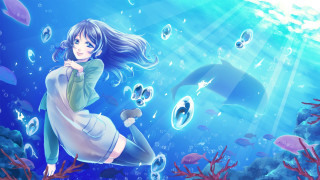 Girl floating dolphin bubbles fish - underwater free wallpaper