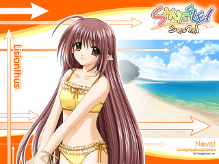 Beach girl bikini sunset horizon - she free wallpaper
