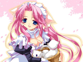 Pink haired girl basket anime - pink hair holding free wallpaper