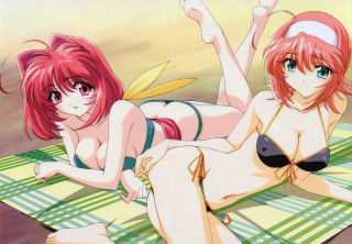 Beach anime girls bikini towel 2 - the beach together free wallpaper