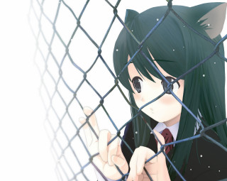 Chizuko yoshida girl fence cat - chizuko yoshida free wallpaper for desktop