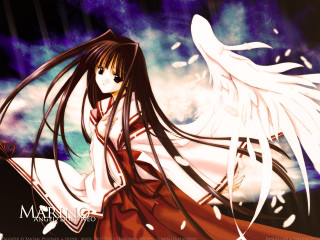 Angelic gothic anime wings hakama - a white angel free wallpaper