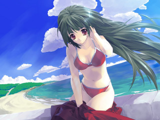 Beach woman bikini ocean hair - a beach next free wallpaper for desktop