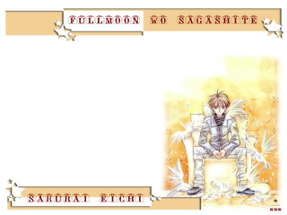 Angel star bench wings portrait - a picture of a person free wallpaper