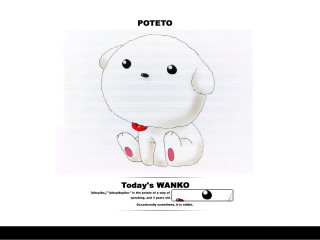 White dog red bowtie potatoto - bottom free wallpaper
