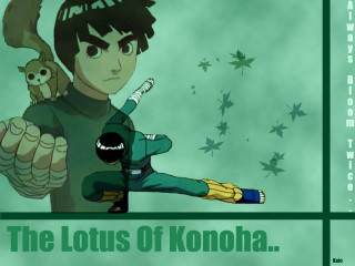 Lotus konoha cartoon monkey poster - the caption free wallpaper