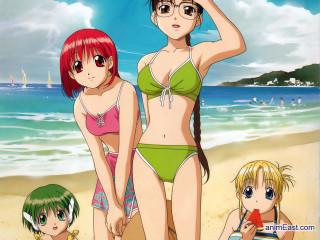 Beach group people ocean sky - top of a beach next free wallpaper