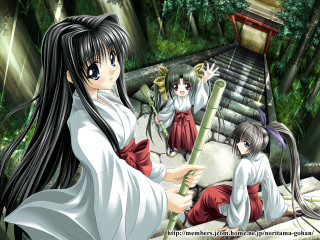 Anime girls bamboo forest shrine - a person holding free wallpaper