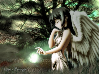Angel woman glowing orb bamboo - her hand and a tree in the background free wallpaper