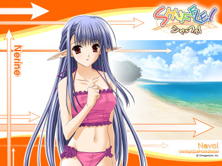 Chizuko yoshida beach bikini surfboard - her hand and a sign free wallpaper