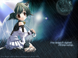 Anime girl rain umbrella cat - an umbrella in the rain free wallpaper