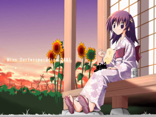 Woman bench window cat sunflower - a bench next free wallpaper