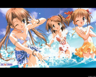Three girls water bikini anime - the other girl free wallpaper