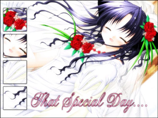 Girl flowers hair dress roses - special free wallpaper