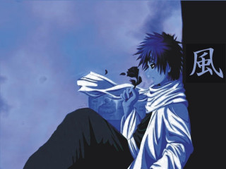 Black haired man ledge bird - a ledge free wallpaper for desktop