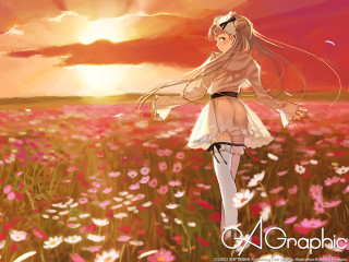 Girl flower field sunset clouds - neoromanticism free wallpaper
