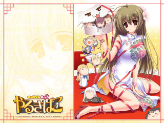 Woman white dress cat hair - a red carpet free wallpaper