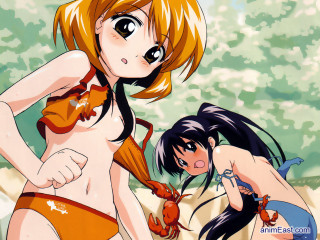 Cartoon two women bikinis beach - a camera free wallpaper