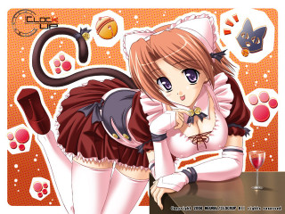 Girl cat dress wine anime - anime free wallpaper for desktop
