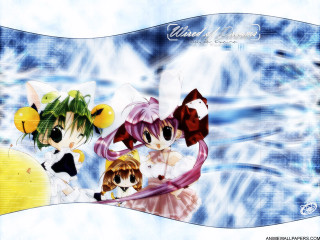 Anime 3girls balloons cat blue - free cats wallpaper