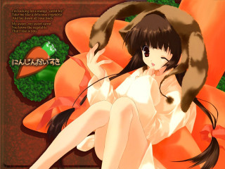 Woman cat bow longhair dogears - a chair free wallpaper