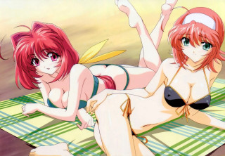 Beach anime girls bikini towel - a tail free wallpaper