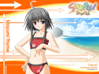 Girl beach bikini sunset illustration - a girl in a bikini free wallpaper