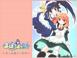 Anime couple checkered maid animals - a picture together in front free wallpaper