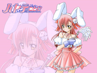 Pink dress bunny ears portrait - a bunny ear free wallpaper for desktop